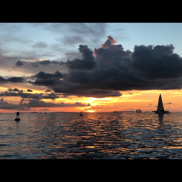 Meet your Posher, Bel - Picture 2 of 2